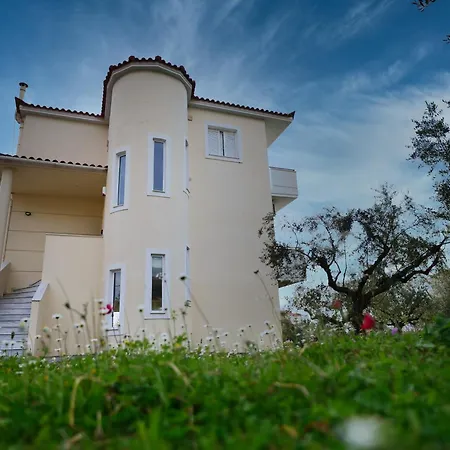 Olive Heaven * Kalamáta