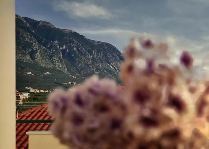 Villa Olive Heaven *